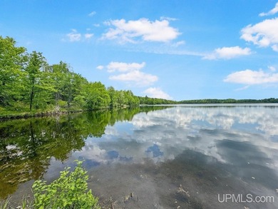 Welcome to lake life on beautiful Buck Lake! This - photo 30