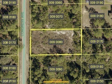 Lehigh Acres Area Lot For Sale in Lehigh Acres Florida