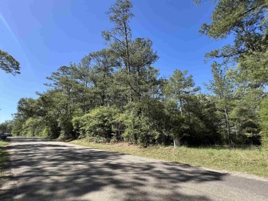 Lake Sam Rayburn  Lot For Sale in Brookeland Texas