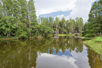 Virtually Staged. Welcome to this serene lakefront home on - photo 28