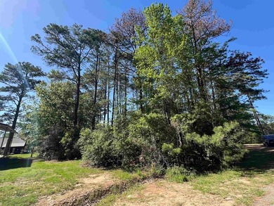 Lake Sam Rayburn  Lot For Sale in Brookeland Texas