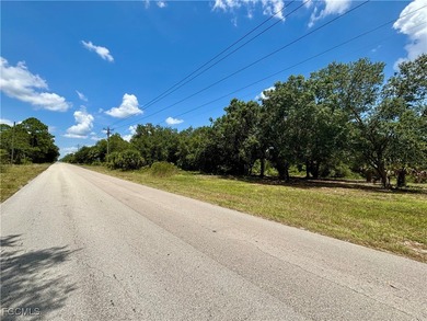 Lehigh Acres Area Lot For Sale in Lehigh Acres Florida