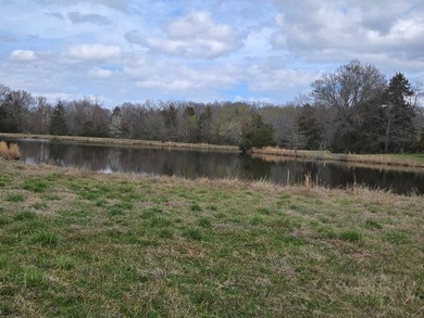 Caney Creek Rd - photo 3
