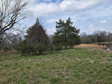 Caney Creek Rd - photo 4