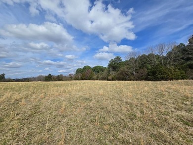 Caney Creek Rd - photo 9