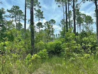 St. Johns River Lot For Sale in Palatka Florida