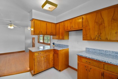Spacious Monticello home with recent updates and usable living - photo 17