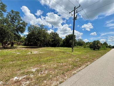Lehigh Acres Area Lot For Sale in Lehigh Acres Florida