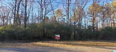 Lake Lot For Sale in Oneonta, Alabama