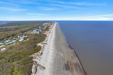 Welcome to coastal luxury in the highly sought-after Ocean Oaks - photo 39