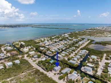 Are you looking for a canal-front home that could use your TLC? - photo 40