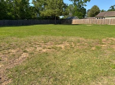 Beautiful cleared lots located in Hemphill - just a few blocks - photo 3