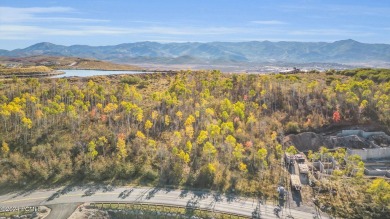 Nestled in the Aspens this new construction home offers privacy - photo 6