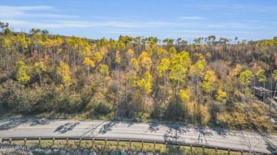Nestled in the Aspens this new construction home offers privacy - photo 8