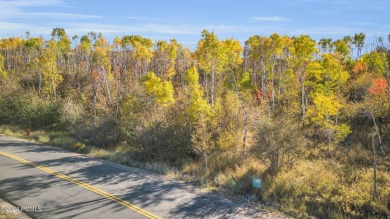 Nestled in the Aspens this new construction home offers privacy - photo 9
