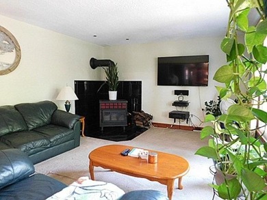 Three bedroom, 2.5 remodeled baths, 2-car resort property - photo 10