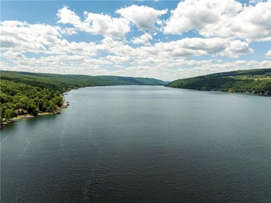Rare opportunity to own 175 feet of Keuka Lake frontage across - photo 12