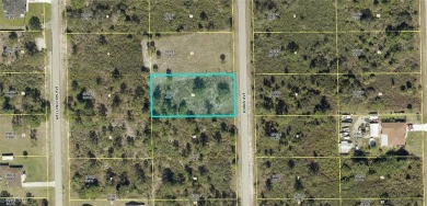 Lehigh Acres Area Lot For Sale in Lehigh Acres Florida