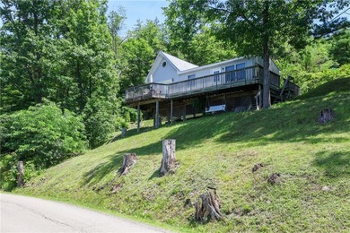 Rare opportunity to own 175 feet of Keuka Lake frontage across - photo 41