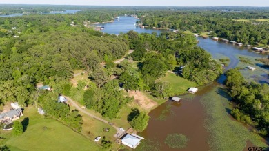 Welcome to your very own .82 acre of waterfront paradise on Lake - Lake Home For Sale in Whitehouse, Texas