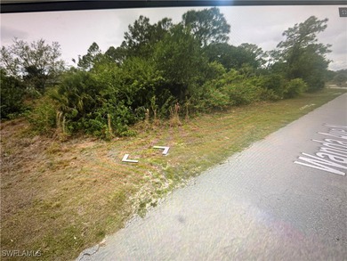 Lehigh Acres Area Lot For Sale in Lehigh Acres Florida