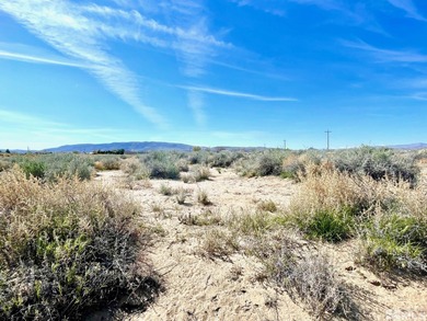 Lake Lahontan Acreage For Sale in Silver Springs Nevada