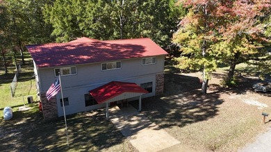 Toledo Bend Lake Waterfront located at the mouth of Lanan Bay - photo 5