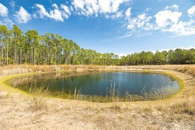4.92 ACRE PARCEL, with survey in hand, ZONED COMMERICAL GENERAL - photo 17
