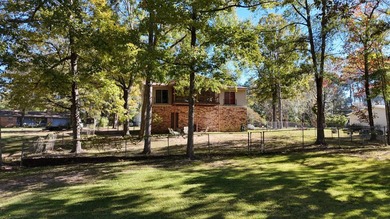 Toledo Bend Lake Waterfront located at the mouth of Lanan Bay - photo 8