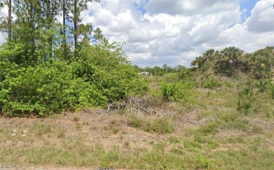 Lake Lot For Sale in Lehigh Acres, Florida