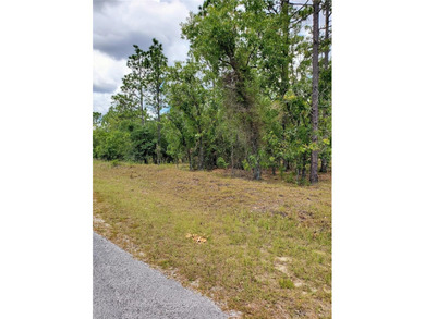 Bonable Lake Lot For Sale in Dunnellon Florida