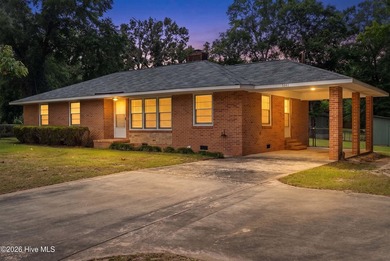 Solid well maintained brick home with 2 large shops on a 0.91 - photo 43