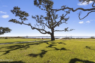 A true Gulf Coast compound - 2.5 private acres fronting both the - photo 56