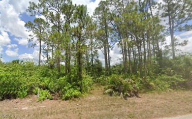 Lake Lot For Sale in Lehigh Acres, Florida