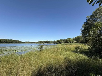 It is not often you can buy this much undeveloped land on a lake - photo 2