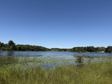 It is not often you can buy this much undeveloped land on a lake - photo 3