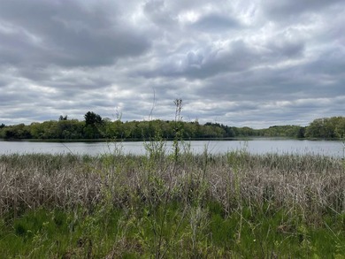 It is not often you can buy this much undeveloped land on a lake - photo 6