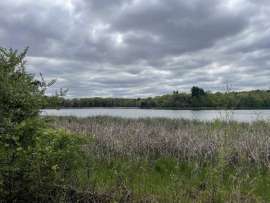 It is not often you can buy this much undeveloped land on a lake - photo 7