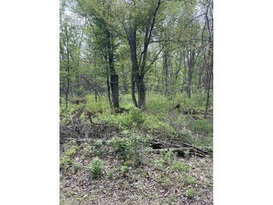 It is not often you can buy this much undeveloped land on a lake - photo 8