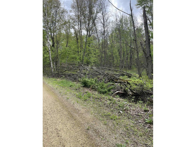 It is not often you can buy this much undeveloped land on a lake - photo 9