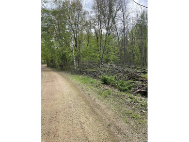 It is not often you can buy this much undeveloped land on a lake - photo 10
