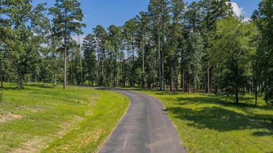 Tucked along the banks of Big Rock Lake, Lot 37 offers a rare - photo 11