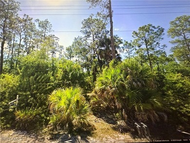 Lehigh Acres Area Lot For Sale in Lehigh Acres Florida