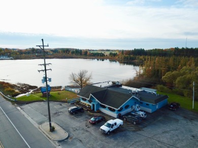Lake Commercial For Sale in Cadillac, Michigan