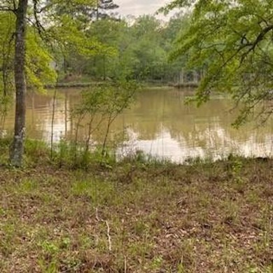 Lake Acreage For Sale in Eatonton, Georgia