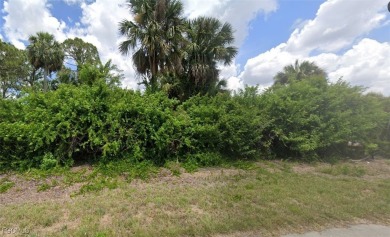 Lake Lot For Sale in Lehigh Acres, Florida