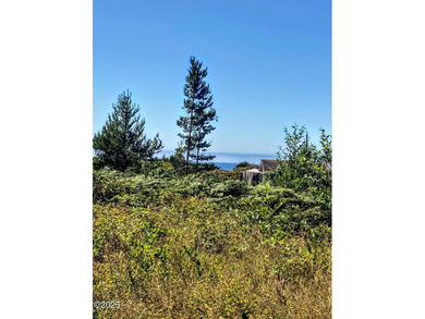 Enjoy distant ocean views from this .22-acre lot, tucked away at - photo 3