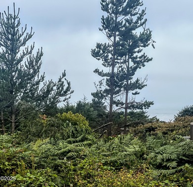 Enjoy distant ocean views from this .22-acre lot, tucked away at - photo 6