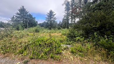 Enjoy distant ocean views from this .22-acre lot, tucked away at - photo 8