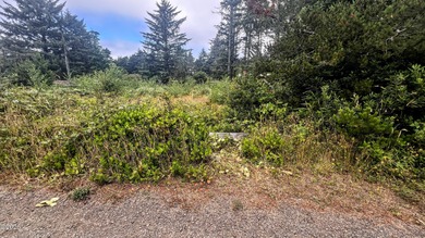 Enjoy distant ocean views from this .22-acre lot, tucked away at - photo 9